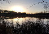 Maplewood Nature Center