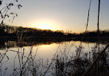 Maplewood Nature Center