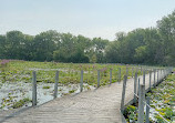 Maplewood Nature Center