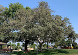 Shaffer Park