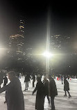 Wollman Rink