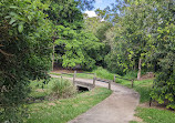 Kim Grayson Park