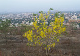 Sunset View Point Baner