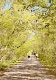 Stonebridge Trail