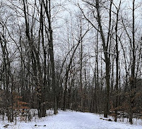 Stonebridge Trail