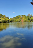 Kissena Park