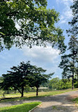 Kissena Park