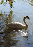 Kissena Park