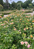 Rose Garden