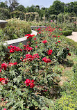 Rose Garden