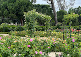 Rose Garden