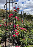 Rose Garden