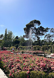 Rose Garden