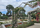 Rose Garden