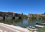 Lake Las Vegas Water Sports