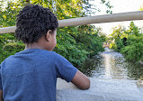 Taylor Park Playground