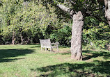 Taylor Park Playground