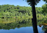 Hemlock Falls Trail Head