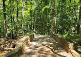 Hemlock Falls Trail Head