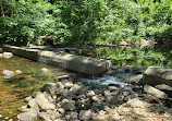 Hemlock Falls Trail Head