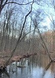 Hemlock Falls Trail Head