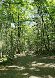 Hemlock Falls Trail Head