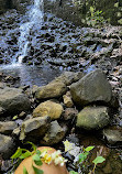 Hemlock Falls Trail Head