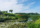 Haarlemmermeerse Bos