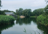 Haarlemmermeerse Bos