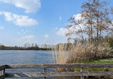 Haarlemmermeerse Bos