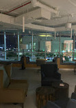 NEST Dubai coworking space