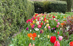 Parc Dumbarton Oaks