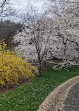 Dumbarton Oaks Park