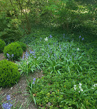 Dumbarton Oaks Park