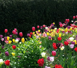 Parc Dumbarton Oaks