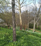 Dumbarton Oaks Park