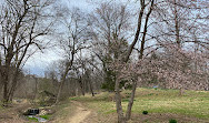 Dumbarton Oaks Park