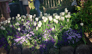 Dumbarton Oaks Park