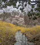 Dumbarton Oaks Park