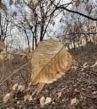 Dumbarton Oaks Park