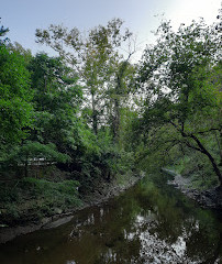 Parque Dumbarton Oaks