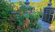 Dumbarton Oaks Park