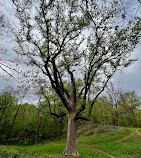 Dumbarton Oaks Park