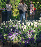 Dumbarton Oaks Park