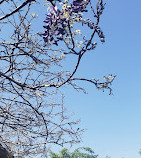 Dumbarton Oaks Park