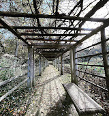 Dumbarton Oaks Park