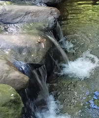 Parc Dumbarton Oaks