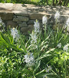 Dumbarton Oaks Park