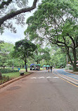 Parque do Ibirapuera