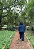 Parque do Ibirapuera